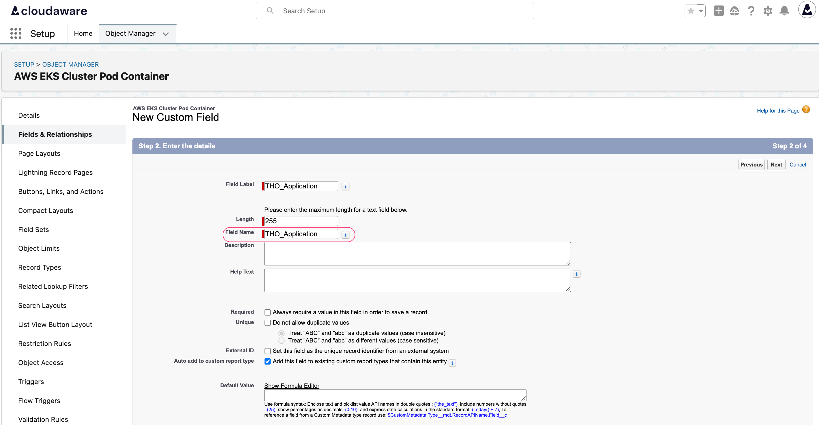 CMDB - Tag resources - caTags creation - default field name.png