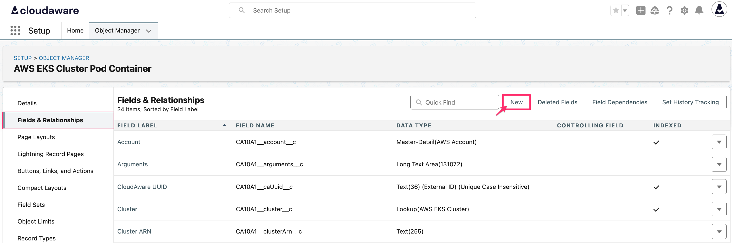CMDB - Tag resources - caTags creation - new field.png