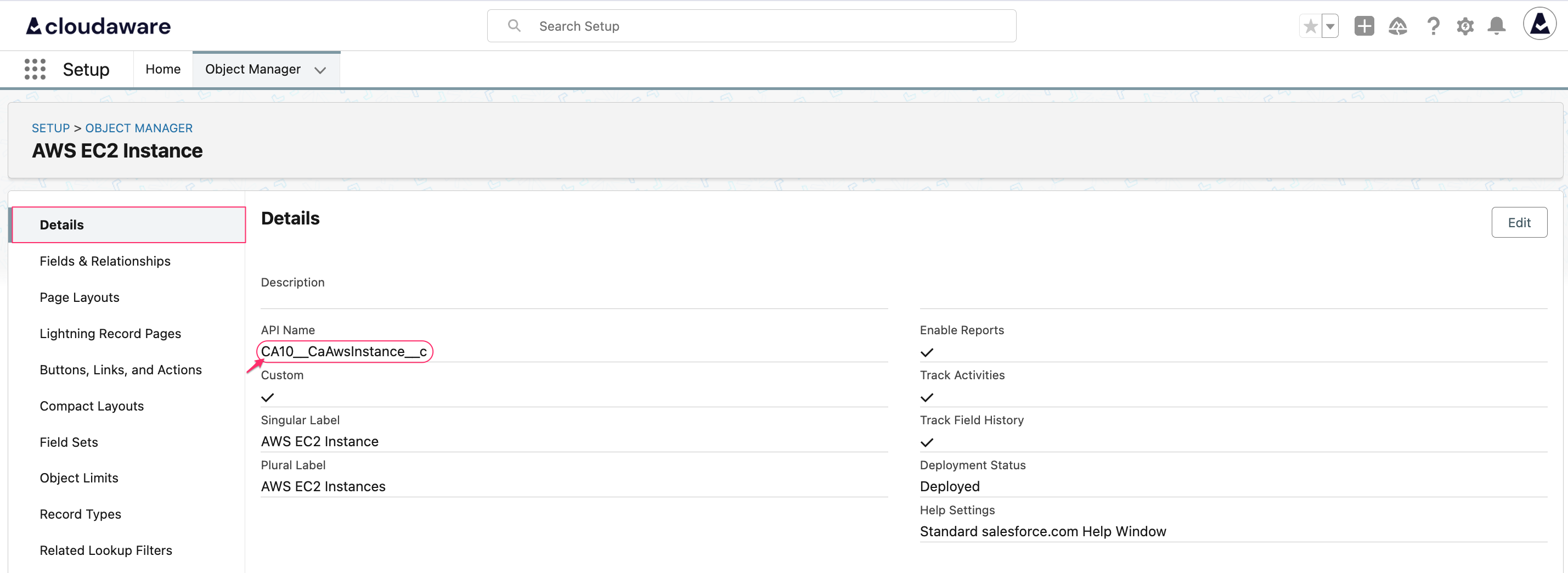 Salesforce CLI & API setup - execute SOQL query - object API name.png