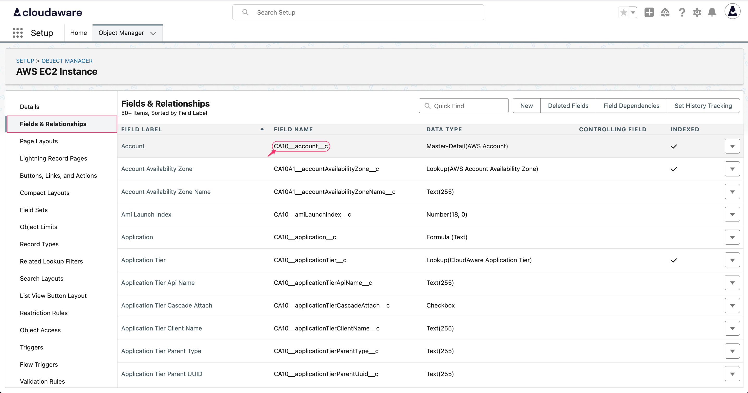 Salesforce CLI & API setup - execute a SOQL query - field API name.png