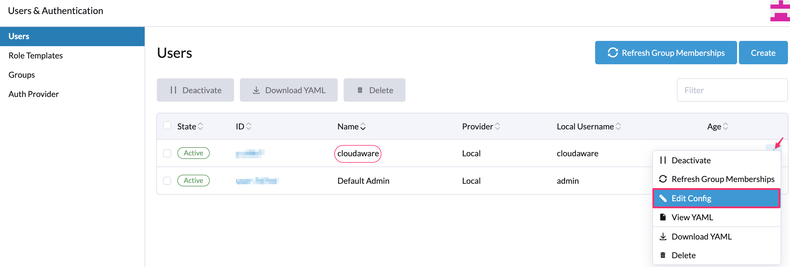 Rancher - Custom role in Rancher - users - edit config.png