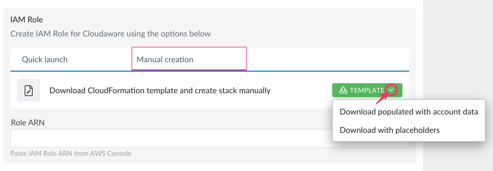 AWS Start Guide - using IAM role - integration form - manual creation - download template.png