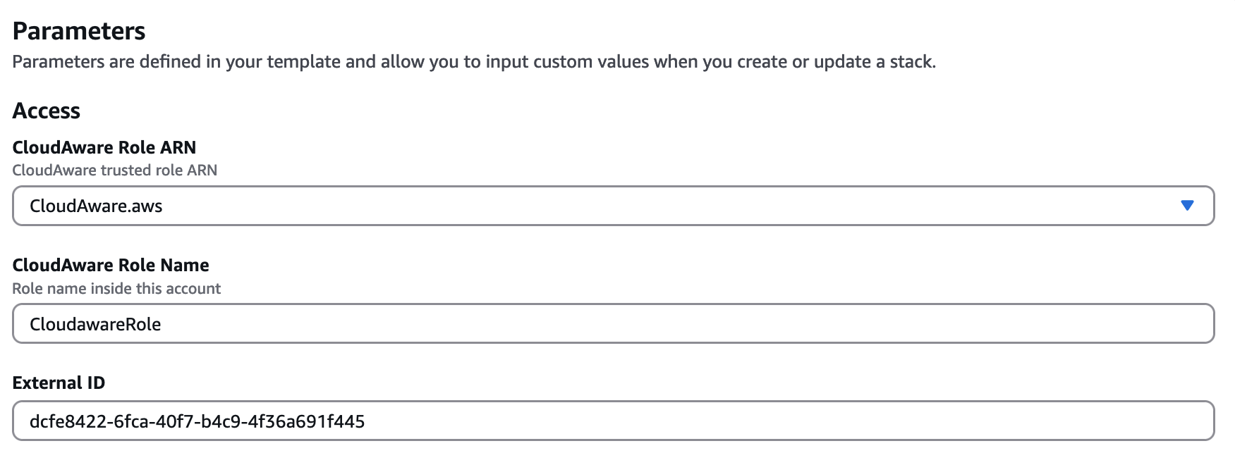 AWS start guide - using IAM role - AWS console - parameters.png