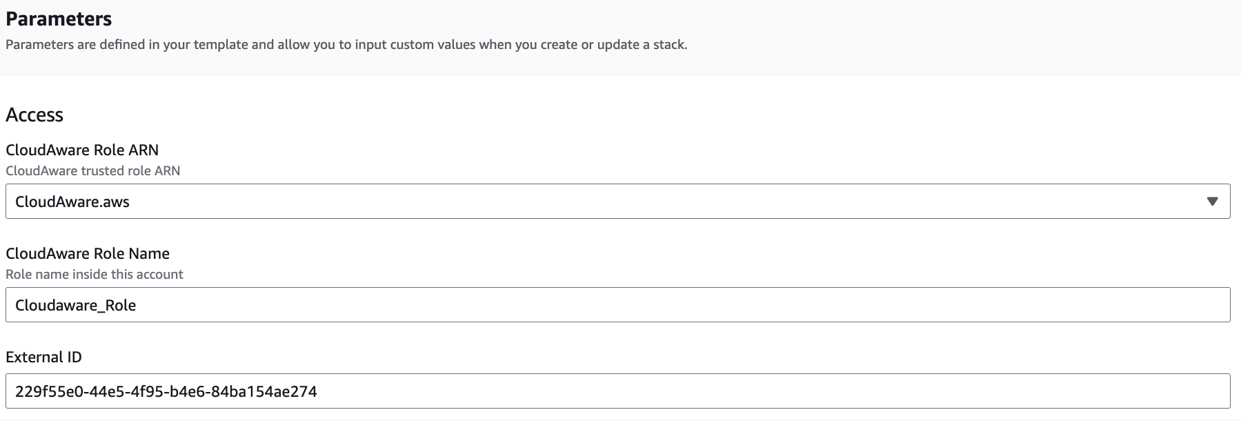 aws start guide - using iam role - parameters in aws.png