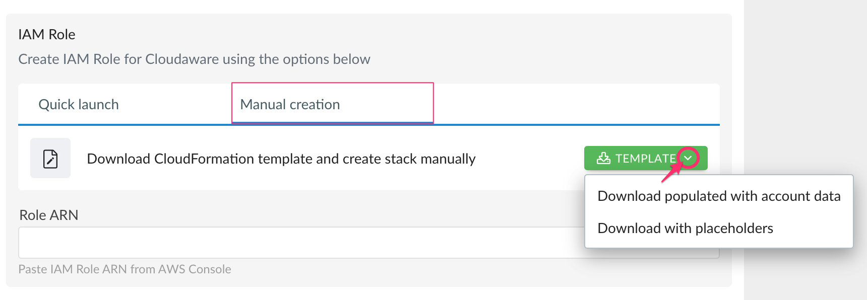 aws start guide - using iam role - manual creation - download template.png