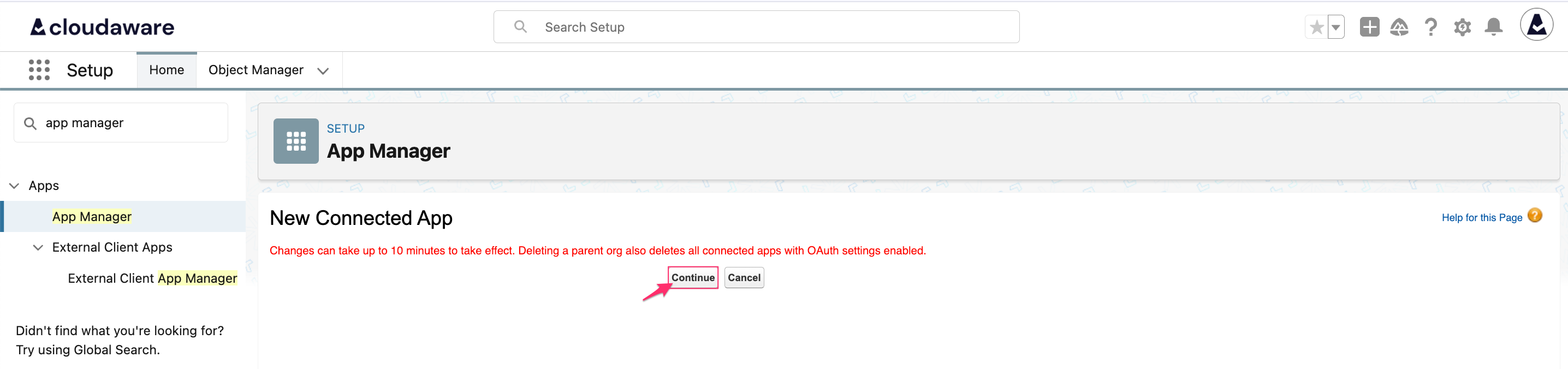 CMDB - Connected App - the new app - click Continue.png